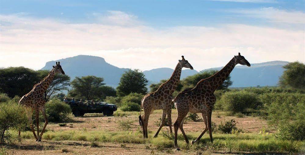 Marataba Safari Co Hotel Marakele National Park Luaran gambar