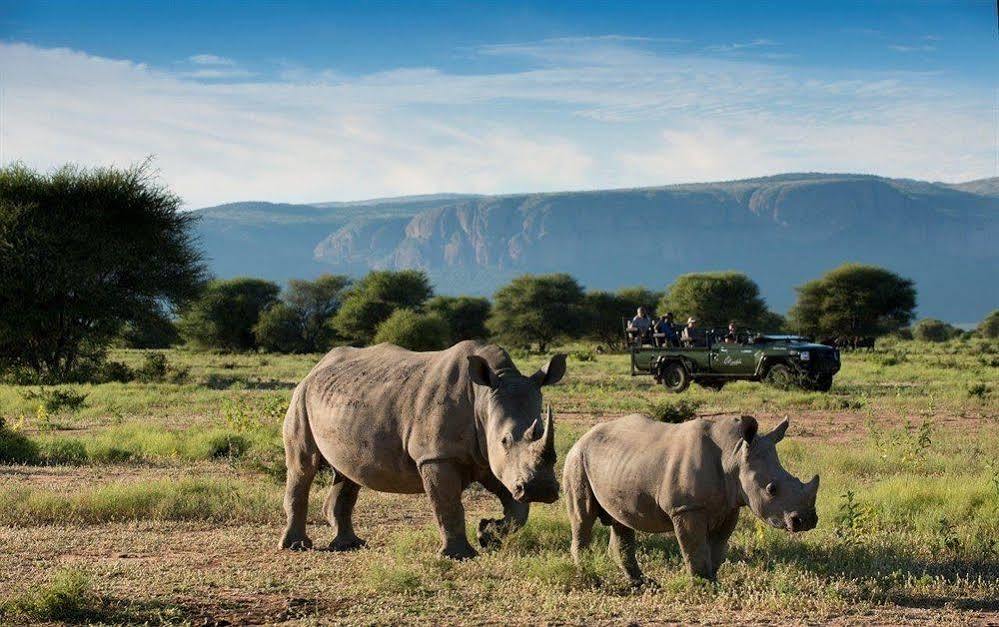Marataba Safari Co Hotel Marakele National Park Luaran gambar